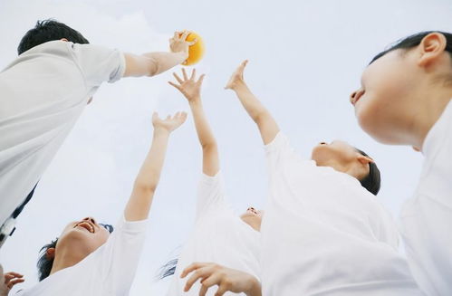 立德树人，回归本真 教育咨询服务的价值重塑与实践路径